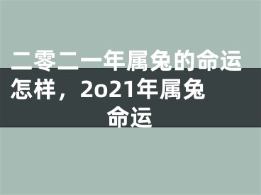 二零二一年属兔的命运怎样，2o21年属兔命运