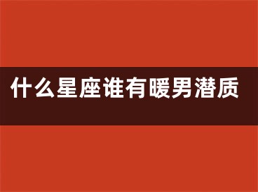 什么星座谁有暖男潜质