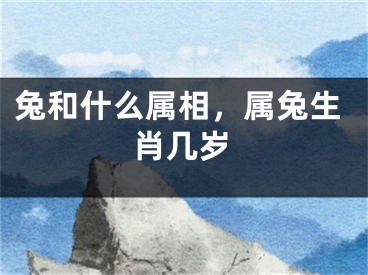 兔和什么属相，属兔生肖几岁