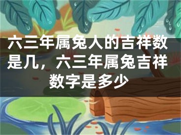 六三年属兔人的吉祥数是几,六三年属兔吉祥数字是多少