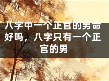 八字中一个正官的男命好吗，八字只有一个正官的男