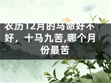 农历12月的马命好不好，十马九苦,哪个月份最苦
