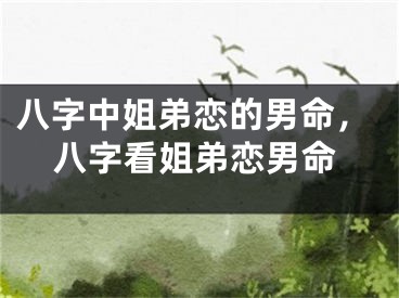 八字中姐弟恋的男命，八字看姐弟恋男命