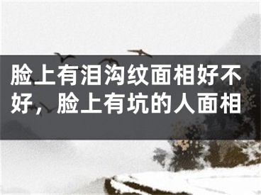 脸上有泪沟纹面相好不好，脸上有坑的人面相