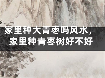 家里种大青枣吗风水，家里种青枣树好不好