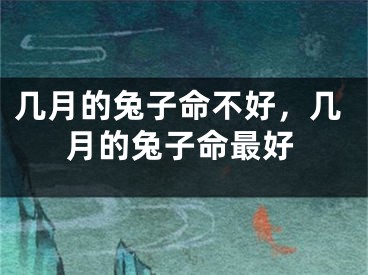 几月的兔子命不好，几月的兔子命最好