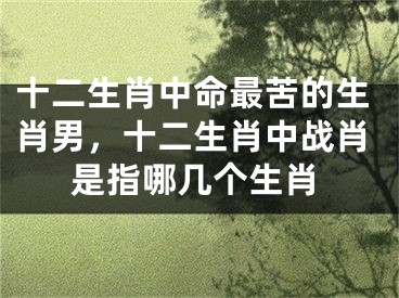 十二生肖中命最苦的生肖男，十二生肖中战肖是指哪几个生肖