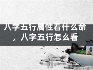 八字五行属性看什么命，八字五行怎么看