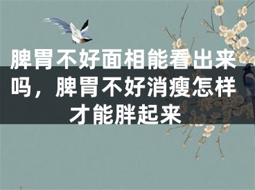 脾胃不好面相能看出来吗，脾胃不好消瘦怎样才能胖起来