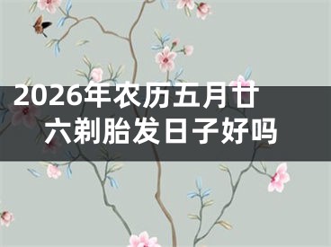 2026年农历五月廿六剃胎发日子好吗