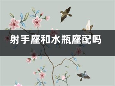 射手座和水瓶座配吗