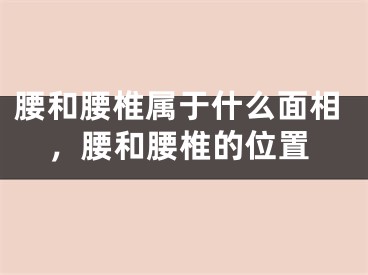 腰和腰椎属于什么面相，腰和腰椎的位置