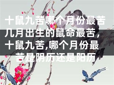 十鼠九苦哪个月份最苦几月出生的鼠命最苦，十鼠九苦,哪个月份最苦是阴历还是阳历