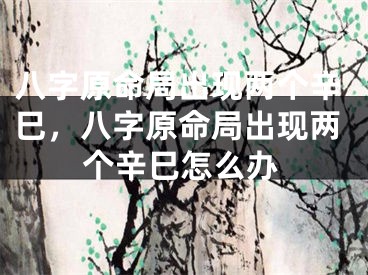 八字原命局出现两个辛巳，八字原命局出现两个辛巳怎么办